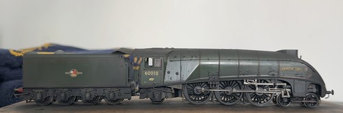 Hornby sparrow hawk - hornby,