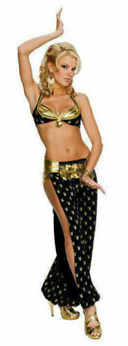 Playboy harem girl adult - harem,