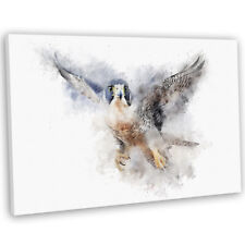 Peregrine Falcon Flight Watercolour Style Canvas Print Framed Wall Art Picture