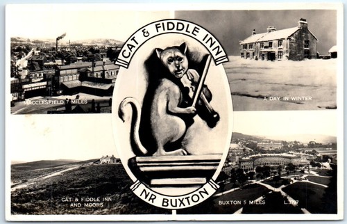 Postcard cat fiddle inn - cat,