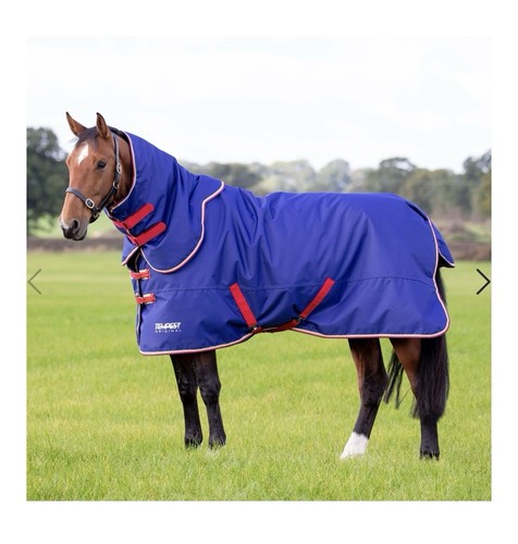 Shires tempest 100g turnout - 100g,