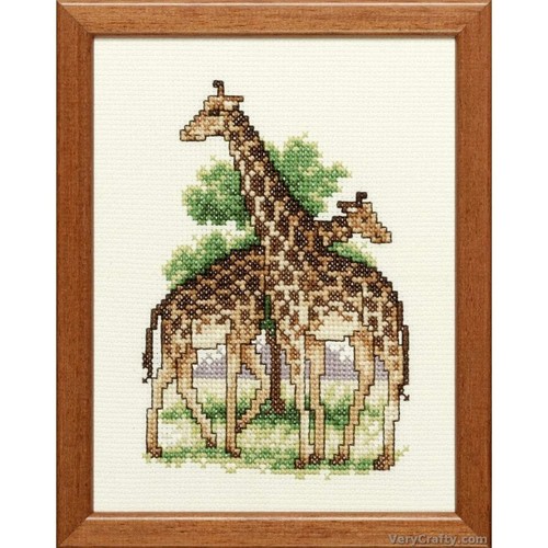 Pair giraffes counted cross - of,