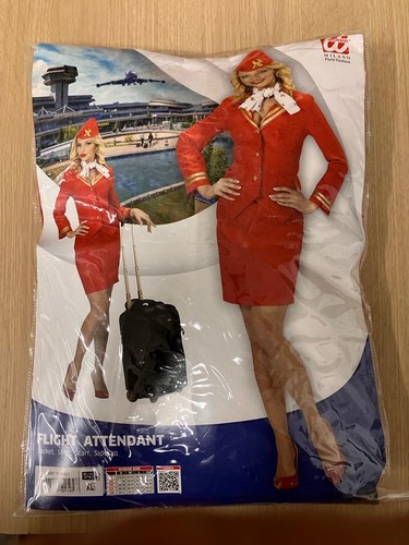 Flight attendant costume - flight,