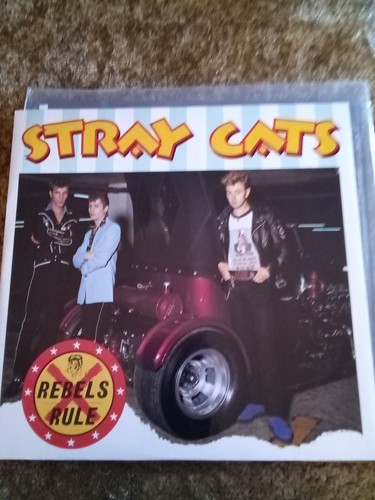 Stray cats rebels rule - stray,