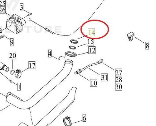 Harley davidson exhaust port - exhaust,