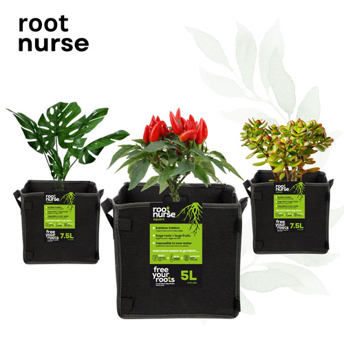 Fabric plant pots square - plant,