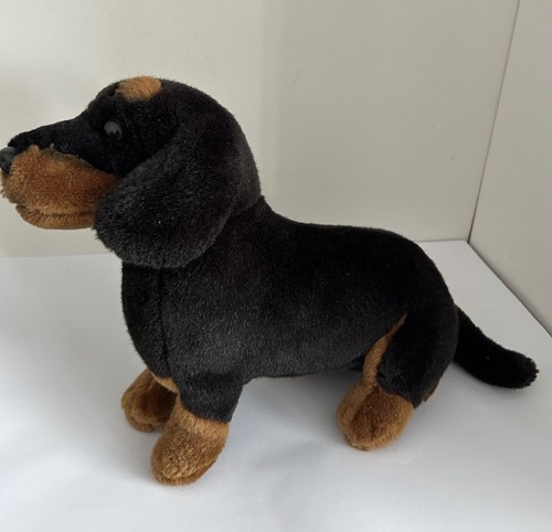Living nature small dachshund - living,