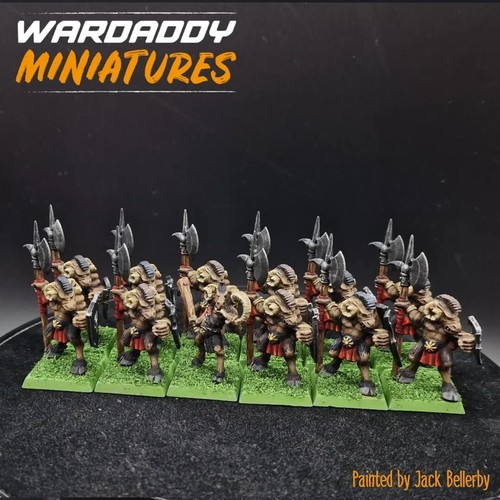 Pro painted warhammer fantasy - warhammer,