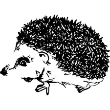 'Cute Hedgehog' Unmounted