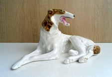 Borzoi russian wolfhound - borzoi,