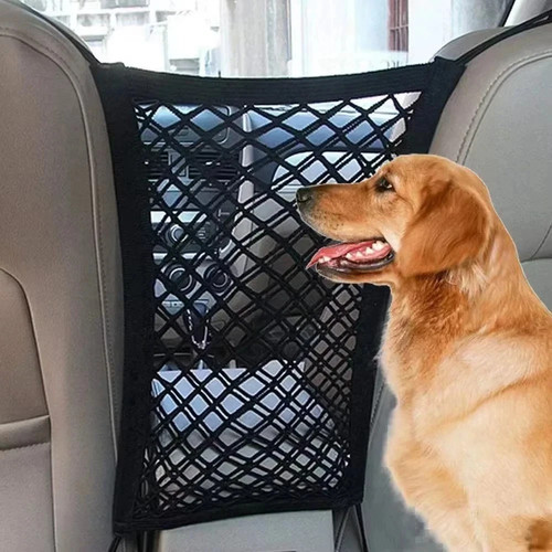 Pet dog car safety - safety, isolation