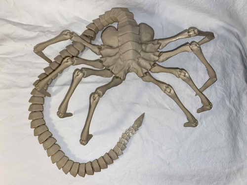 Alien facehugger replica - alien, 1:1