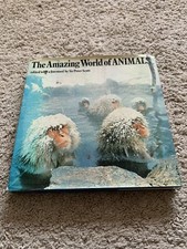 The Amazing World of