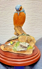 Border Fine Arts collection