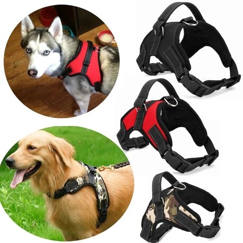 Pull dog pet - no,