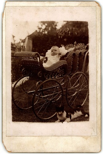 Circa 1890s cabinet card - 1890s,