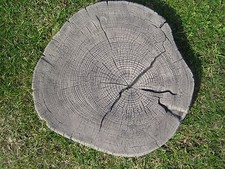 Garden stepping stones - garden,