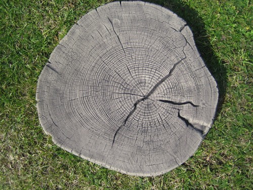 Garden stepping stones large - garden,