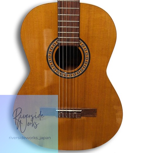 Rare patrie concert godin - concert,