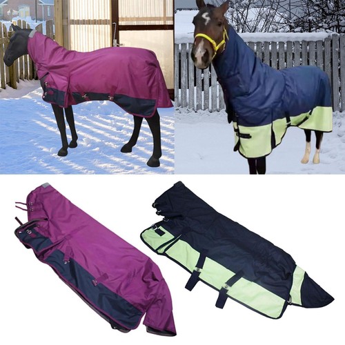 Horse winter turnout - winter, blanket