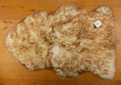 Large wolf tip brown tipped - -,