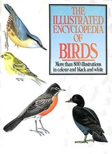 Illustrated Encyclopedia of