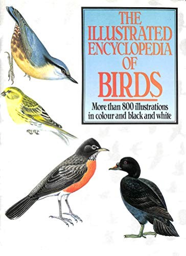 Illustrated encyclopedia - encyclopedia, of