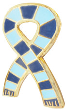 Wycombe Wanderers Supporter