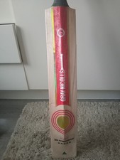 Gray nicolls powerspot - gray,