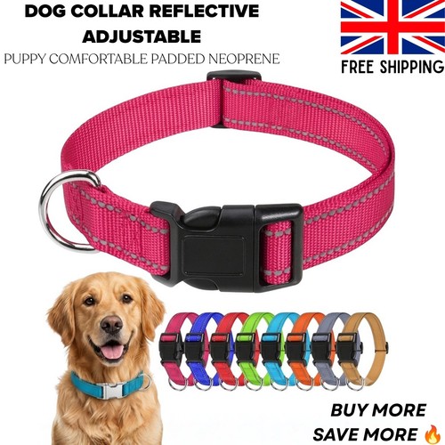 Dog collar reflective - collar,