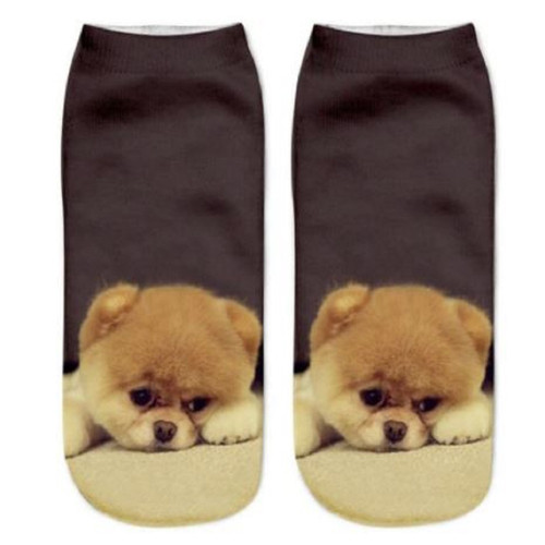 Chow cute - dog, trainer