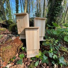 Wooden Bat House for Roosting with Landing Perches Nest Habitat (Set of 3)