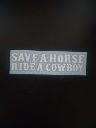 Save horse ride - a, cowboy