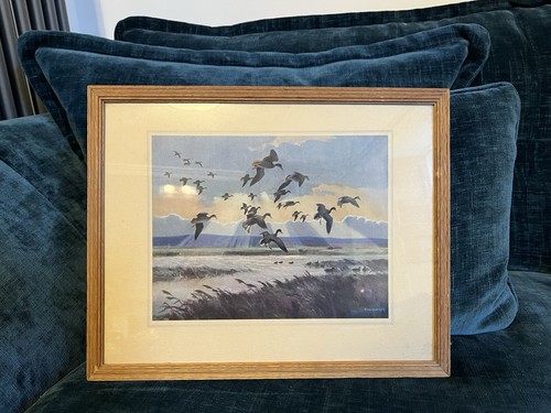 Vintage peter scott print - vintage,