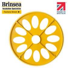 Maxi Incubator Large Egg