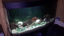 Aquarium Ornaments - 2 Skulls