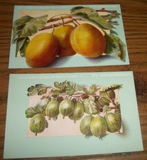 Lot of ~7~ Postcard Assorted
