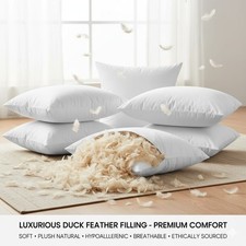 Zivorah Premium Duck Feather