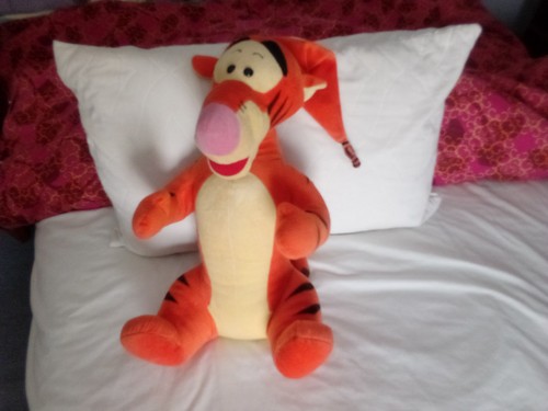 Walt disney tigger winnie the - tigger,