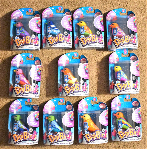 Digibirds colourful singing - colourful,