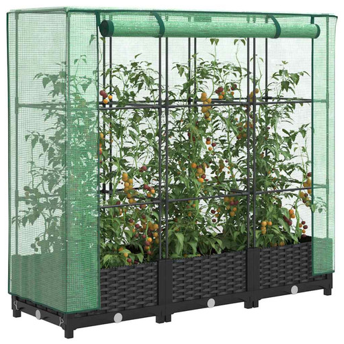 Raised bed greenhouse black - greenhouse, pp