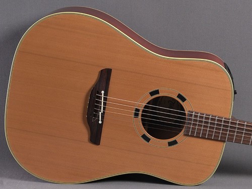 Takamine 10 - takamine, en-10
