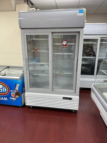 Blizzard 1000sl upright - blizzard,