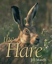 The Hare By Jill Mason, David Mason
