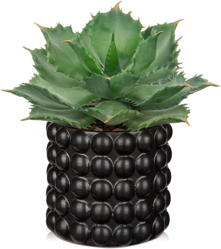 Hollyone fake succulents - succulents, in
