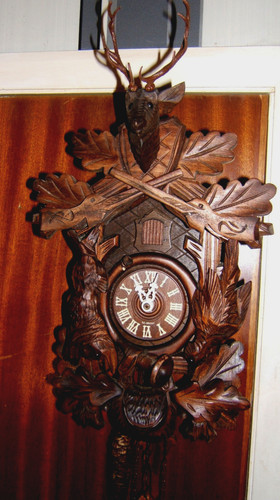 Regula antique black - regula, forest