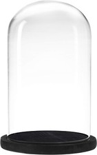 6 x 10 Inches Clear Glass