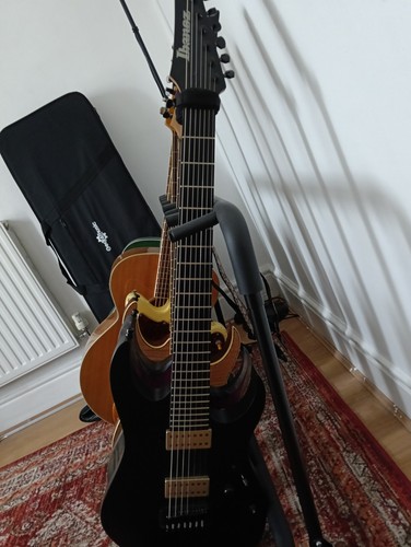 Ibanez rgixl7 iron label - iron,