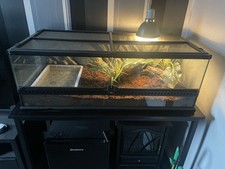 Exo Terra Vivarium 36 X 12 X