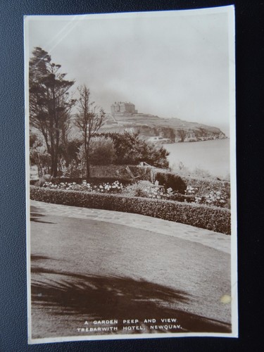 Cornwall newquay garden peep - a,